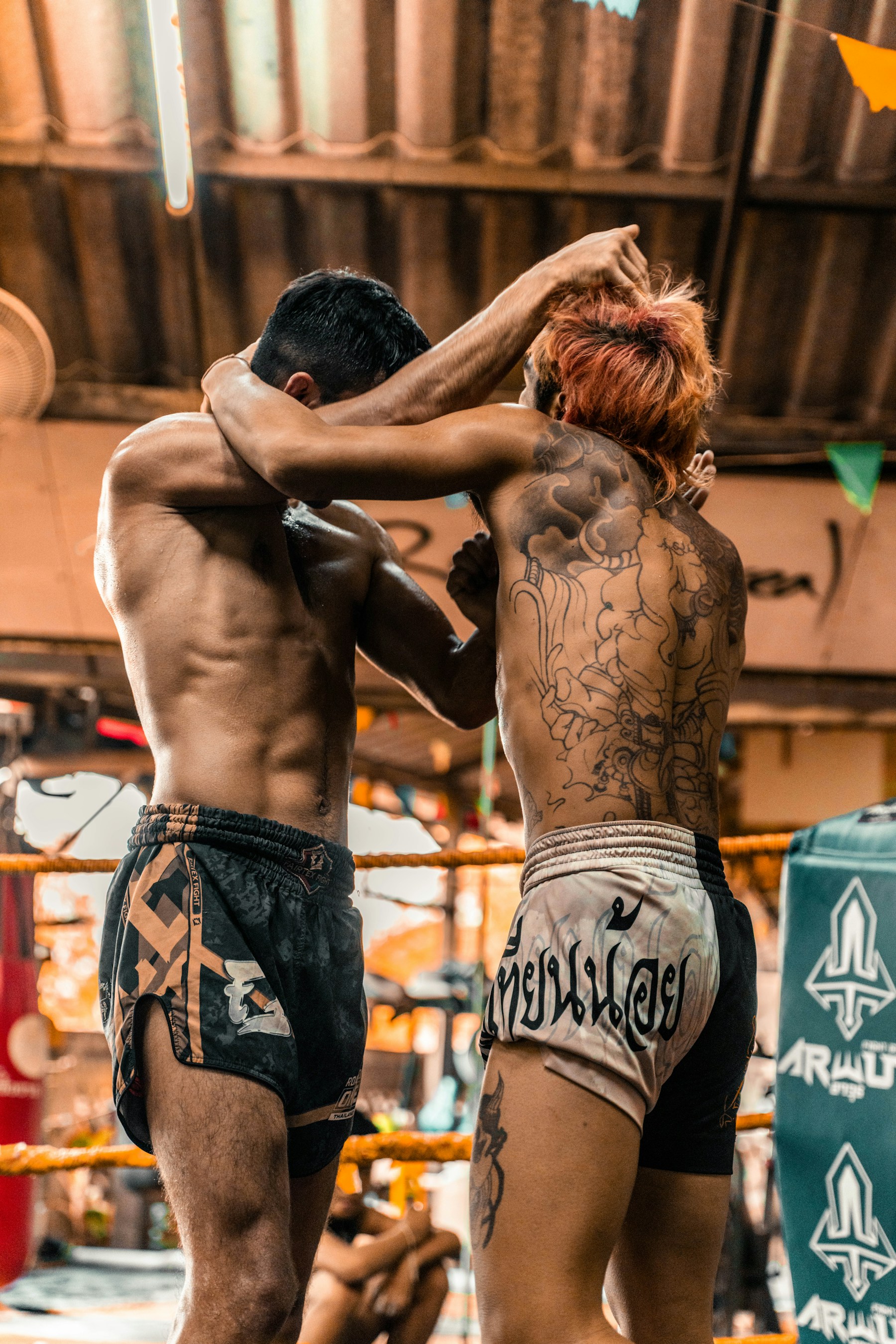 Combat sports athletes grappling in a ring with realistic gym and crowd atmosphere